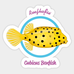 Cubicus Boxfish Sticker